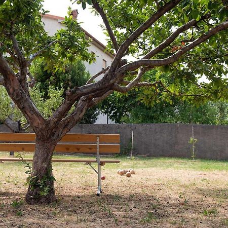 Apartman Mjeda Kastav Εξωτερικό φωτογραφία